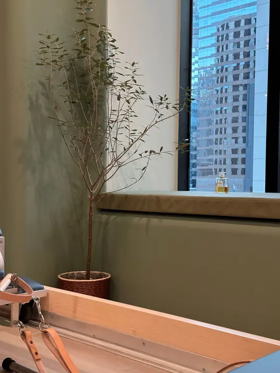 Amazing Pilates Studio — 環境相片