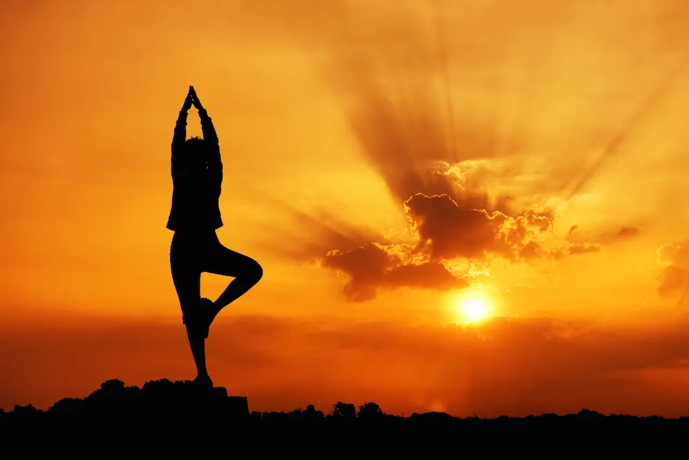 Ananda Marga Yoga & Meditation Center — 環境相片