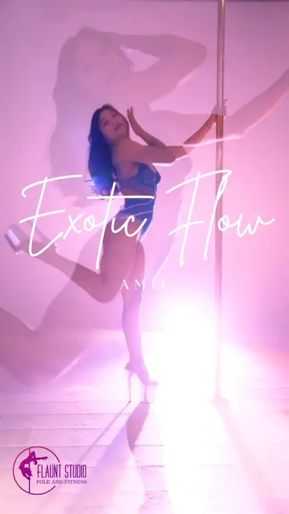 Flaunt Studio (Flaunt Pole and Dance) — 環境相片