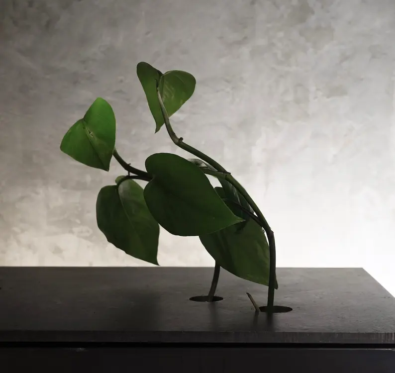 Flowga Studio — 環境相片