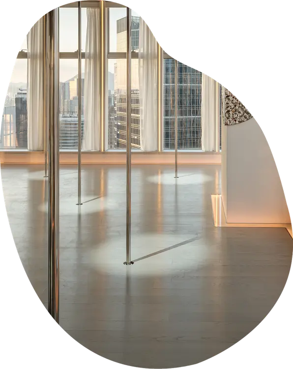 Glam Pole & Aerial Dance Studio — Studio gallery 5