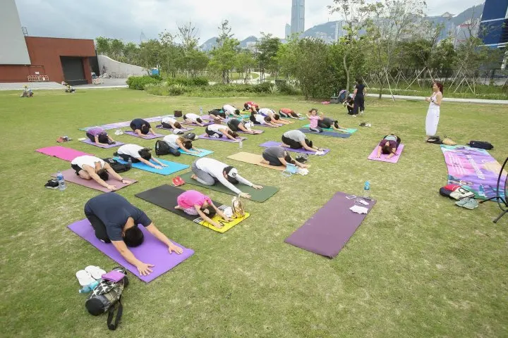 Happiness Yoga Ayurveda — 環境相片