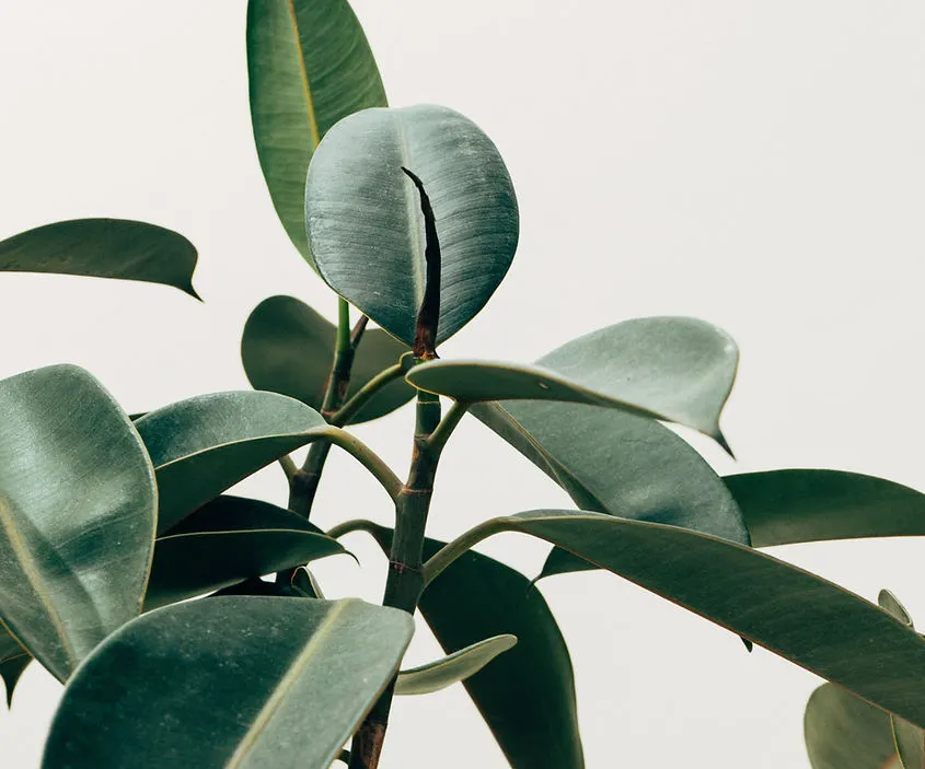 Moss Pilates Studio — Studio gallery 1