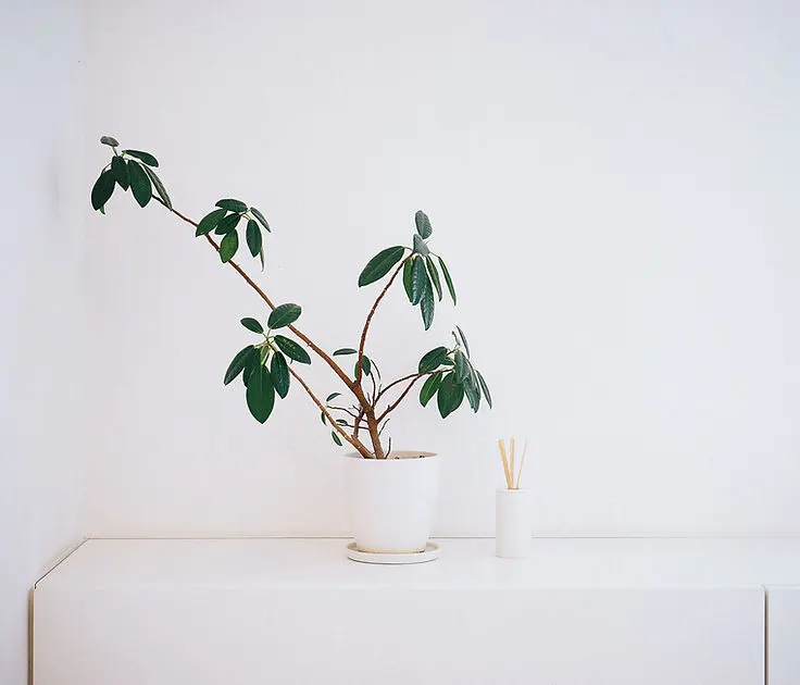 Moss Pilates Studio — 環境相片