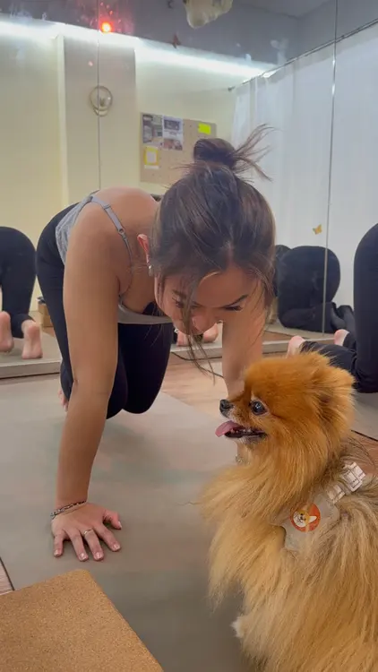 Papillon Yoga Studio — 环境相片 5