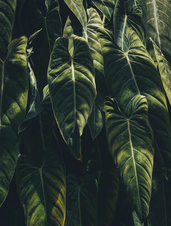 PAUSE Health & Wellness — 環境相片