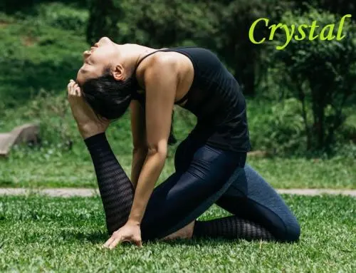 Prajna Yoga — 環境相片