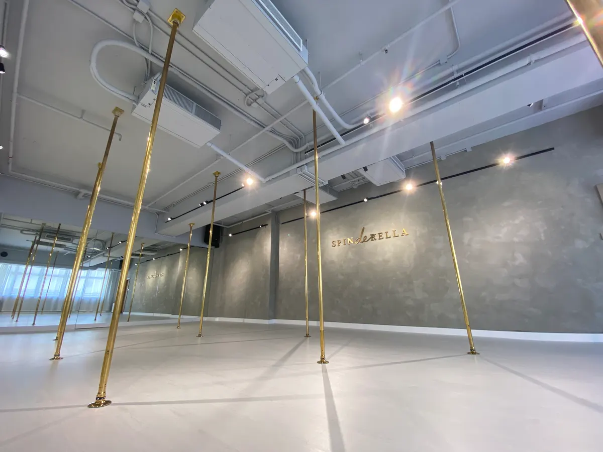 Spinderella Pole Studio — Studio gallery 1