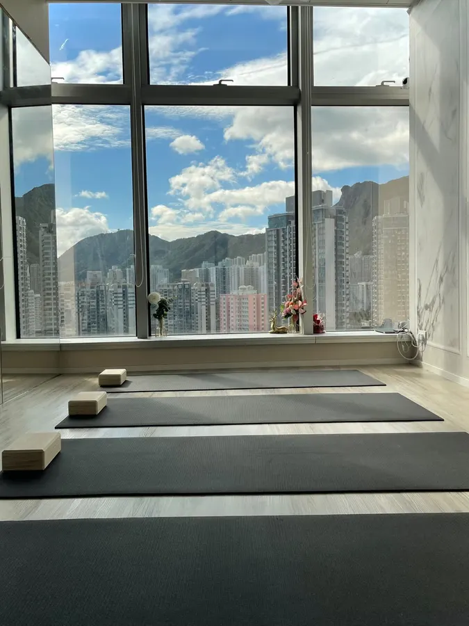 The Garden Aerial Yoga — 环境相片 1